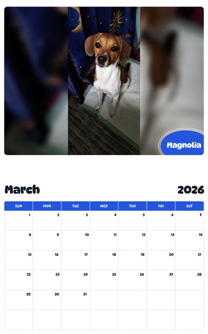 November 2025 - October 2026 Magnolia - Pawidols Pet Calendar