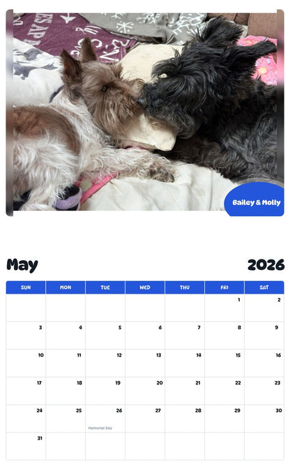 2026 - 2027 Bailey & Molly - Pawidols Pet Calendar