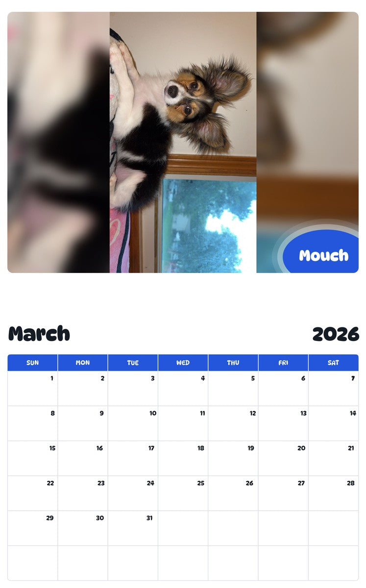 November 2025 - October 2026 Mouch - Pawidols Pet Calendar