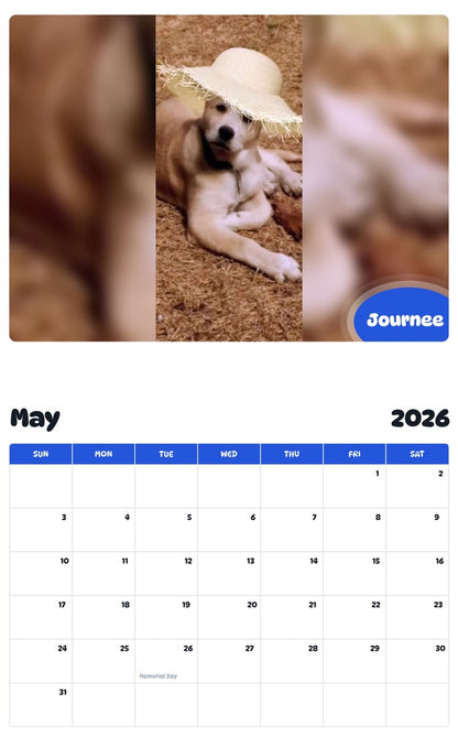 2026 - 2027 Journee - Pawidols Pet Calendar