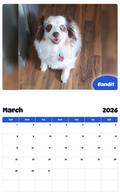 November 2025 - October 2026 Bandit - Pawidols Pet Calendar