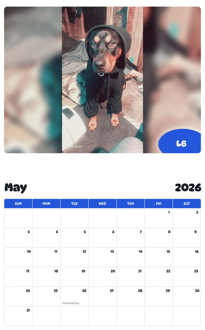 2026 - 2027 LB - Pawidols Pet Calendar