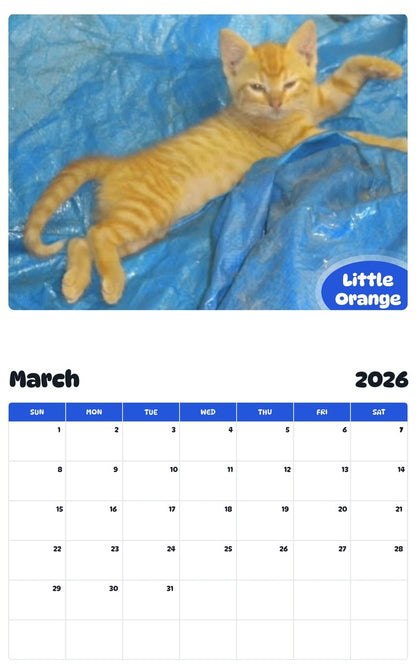 November 2025 - October 2026 Little Orange - Pawidols Pet Calendar