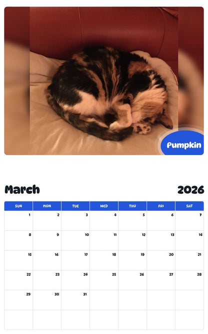 November 2025 - October 2026 Pumpkin - Pawidols Pet Calendar