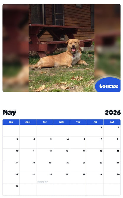 2026 - 2027 Loucee - Pawidols Pet Calendar