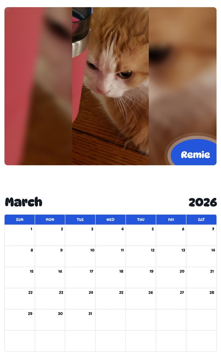 November 2025 - October 2026 Remie - Pawidols Pet Calendar