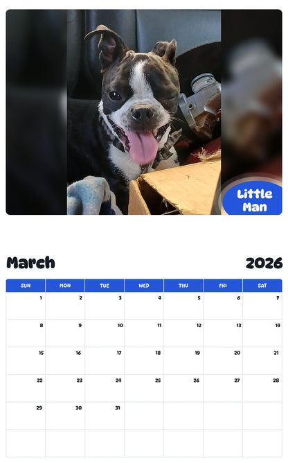 November 2025 - October 2026 Little Man - Pawidols Pet Calendar