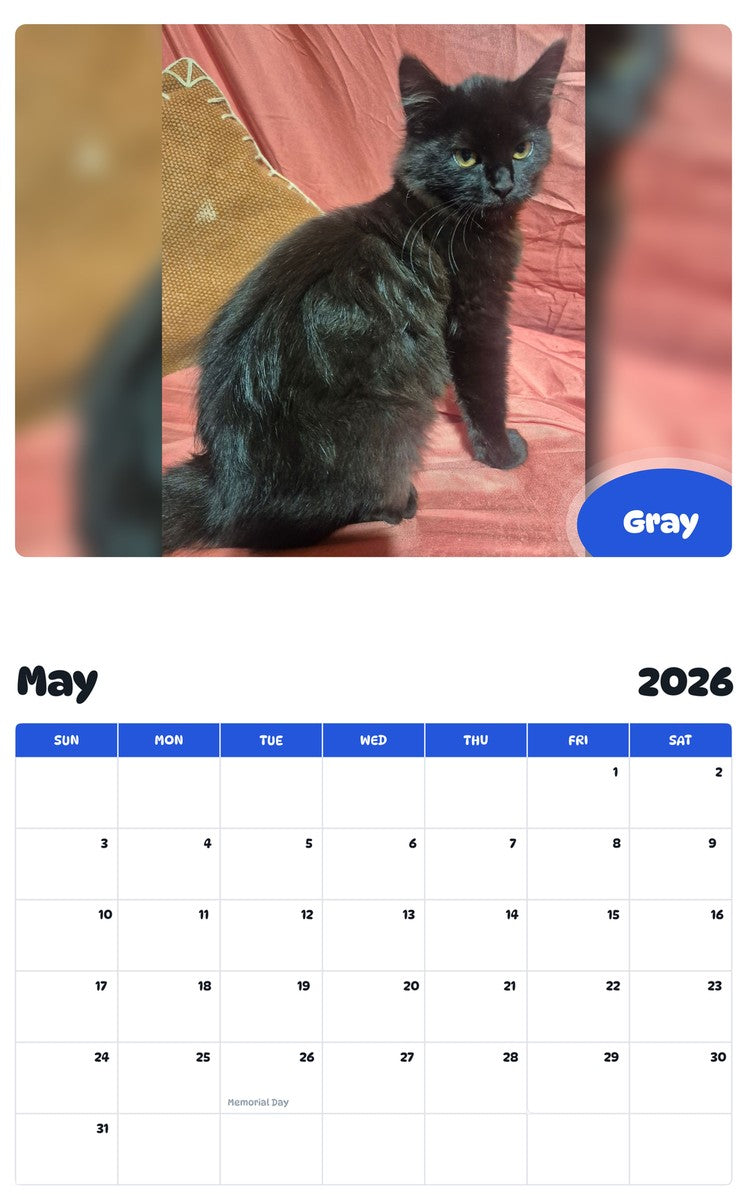 2026 - 2027 Gray - Pawidols Pet Calendar