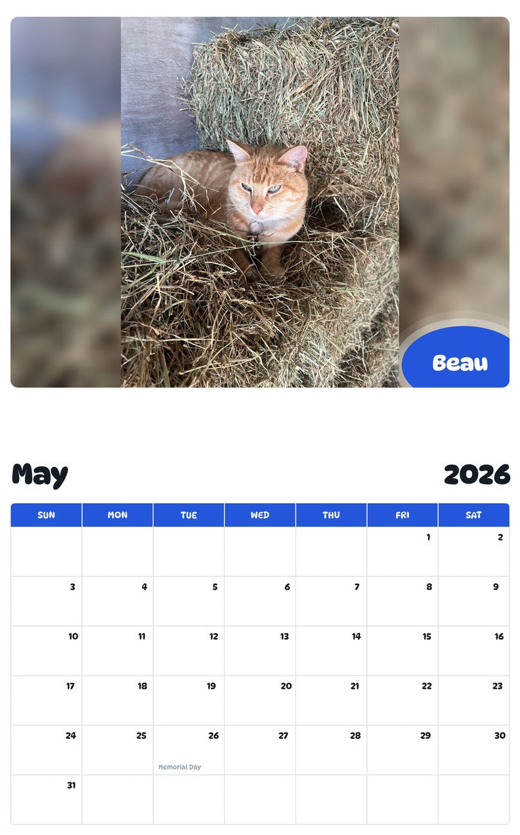 2026 - 2027 Beau - Pawidols Pet Calendar