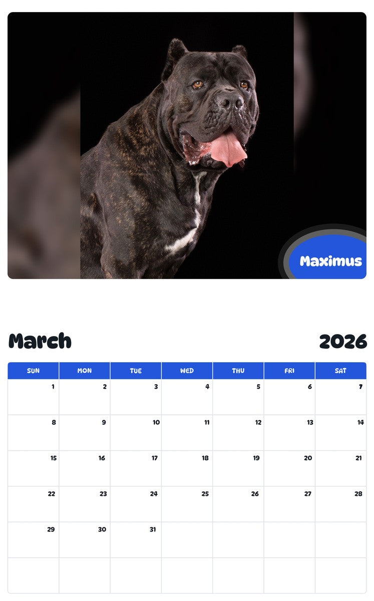 November 2025 - October 2026 Maximus - Pawidols Pet Calendar