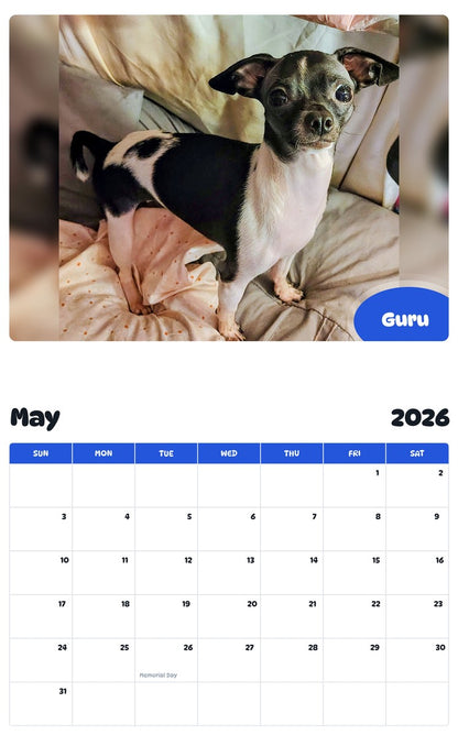 2026 - 2027 Guru - Pawidols Pet Calendar