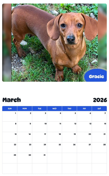 November 2025 - October 2026 Gracie - Pawidols Pet Calendar