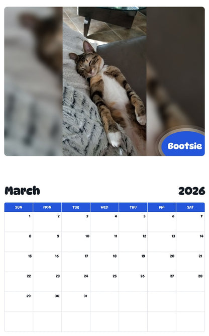 November 2025 - October 2026 Bootsie - Pawidols Pet Calendar