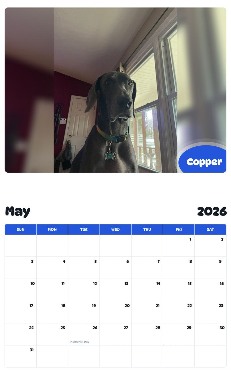 2026 - 2027 Copper - Pawidols Pet Calendar