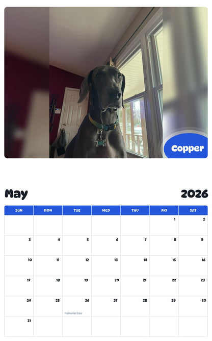 2026 - 2027 Copper - Pawidols Pet Calendar