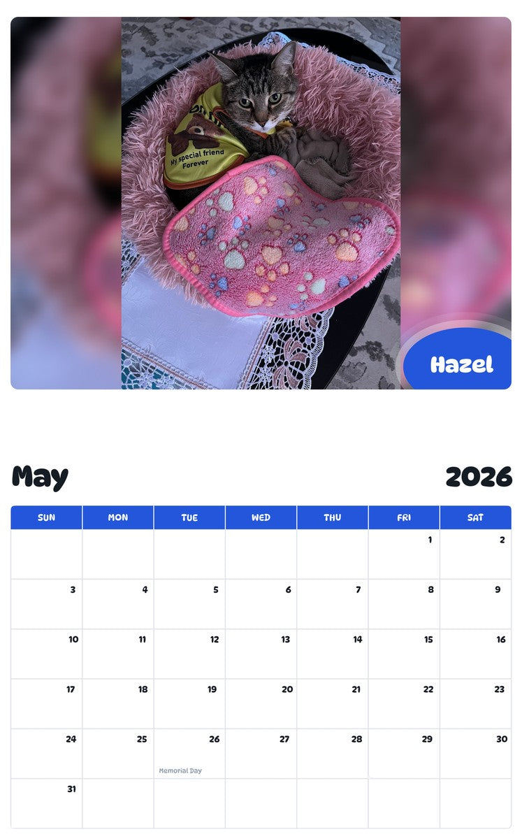 2026 - 2027 Hazel - Pawidols Pet Calendar