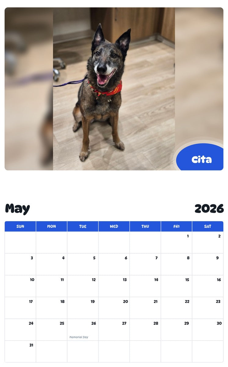2026 - 2027 Cita - Pawidols Pet Calendar