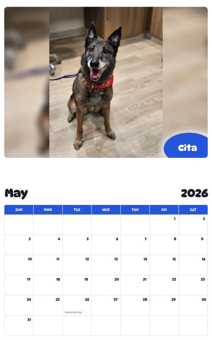 2026 - 2027 Cita - Pawidols Pet Calendar