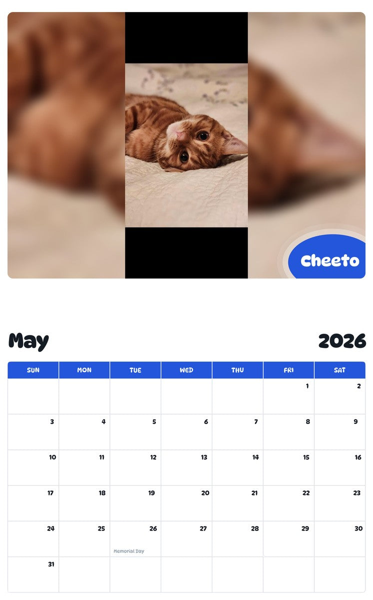 2026 - 2027 Cheeto - Pawidols Pet Calendar