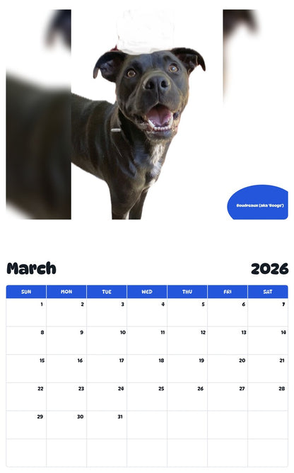 November 2025 - October 2026 Boudreaux (aka 'Boogs') - Pawidols Pet Calendar