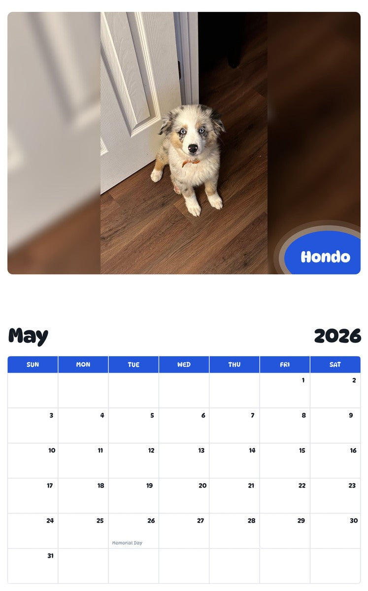 2026 - 2027 Hondo - Pawidols Pet Calendar