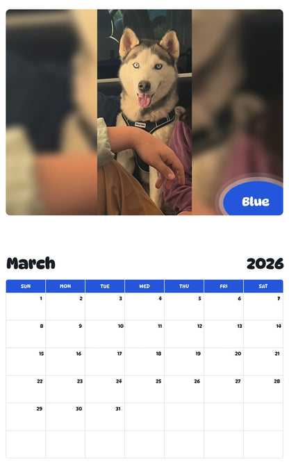November 2025 - October 2026 Blue - Pawidols Pet Calendar