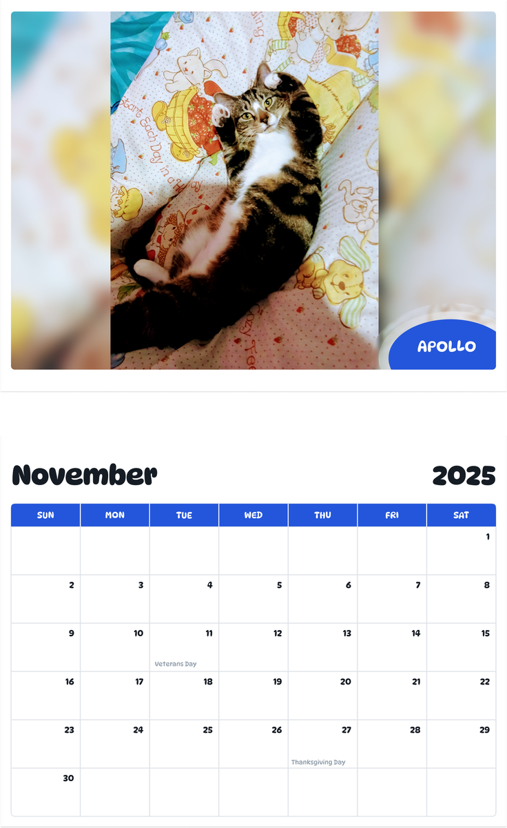 July 2025 - June 2026 Apollo - Pawidols Pet Calendar