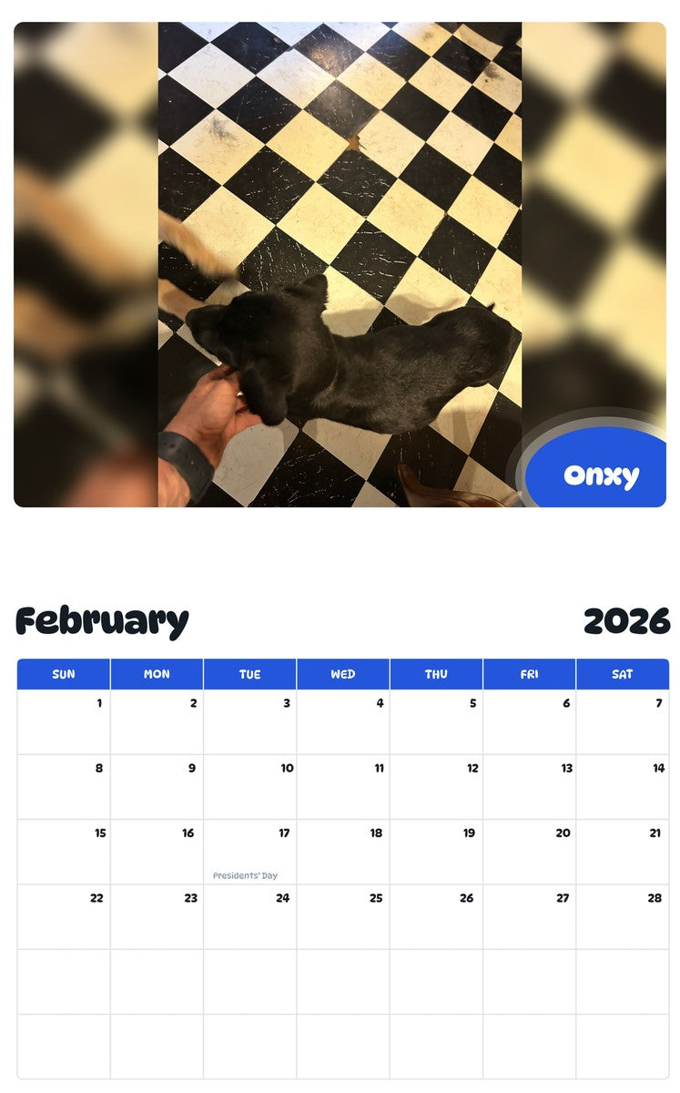 November 2025 - October 2026 Onxy - Pawidols Pet Calendar