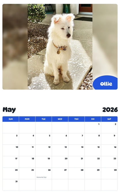 2026 - 2027 Ollie - Pawidols Pet Calendar