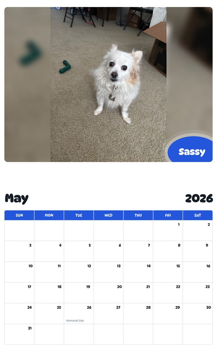 2026 - 2027 Sassy - Pawidols Pet Calendar