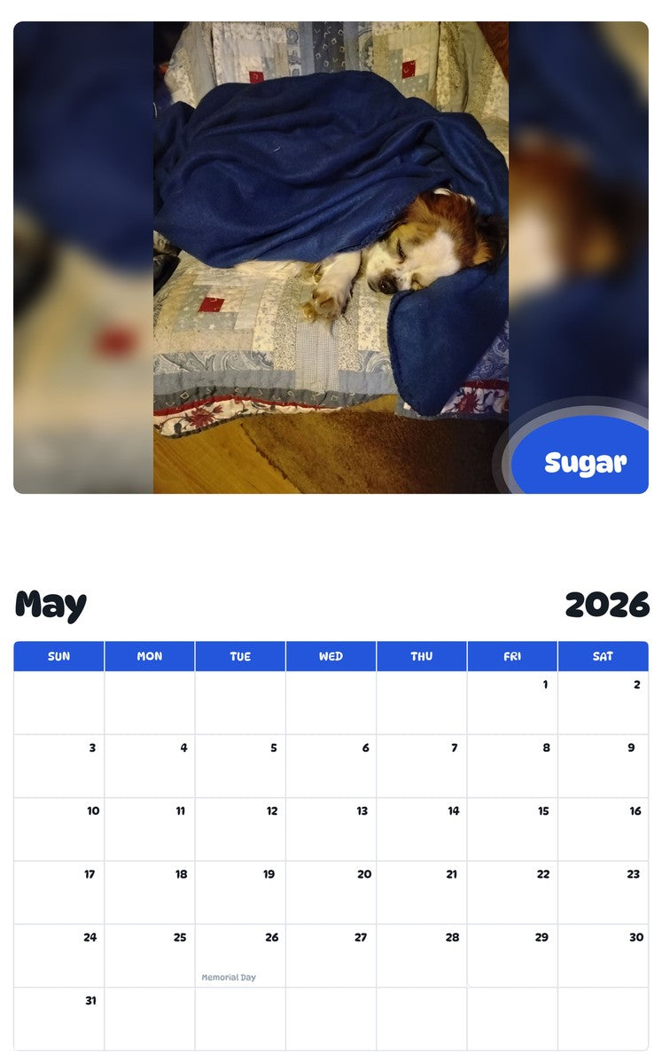 2026 - 2027 Sugar - Pawidols Pet Calendar