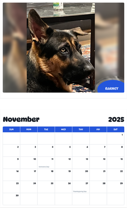 July 2025 - June 2026 Barney - Pawidols Pet Calendar