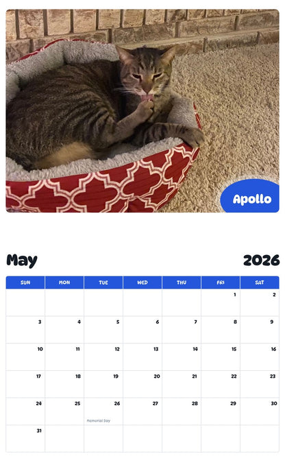 2026 - 2027 Apollo - Pawidols Pet Calendar