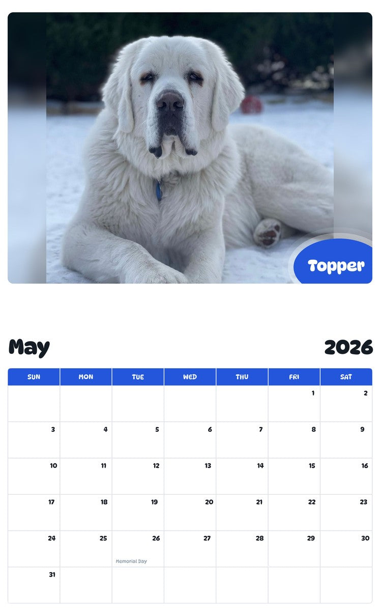 2026 - 2027 Topper - Pawidols Pet Calendar