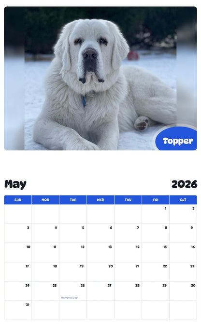 2026 - 2027 Topper - Pawidols Pet Calendar