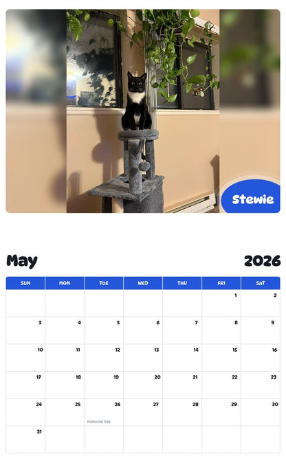 2026 - 2027 Stewie - Pawidols Pet Calendar