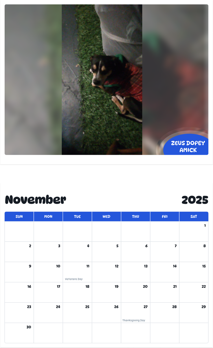 July 2025 - June 2026 Zeus Dopey Amick - Pawidols Pet Calendar