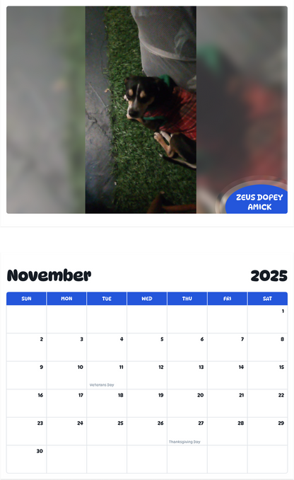 July 2025 - June 2026 Zeus Dopey Amick - Pawidols Pet Calendar