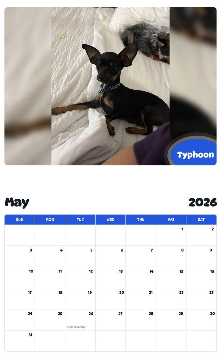 2026 - 2027 Typhoon - Pawidols Pet Calendar