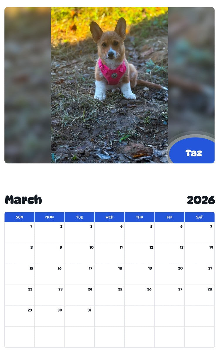 November 2025 - October 2026 Taz - Pawidols Pet Calendar