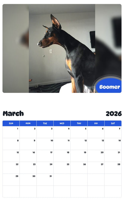 November 2025 - October 2026 Boomer - Pawidols Pet Calendar