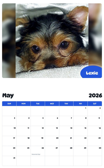 2026 - 2027 Lexie - Pawidols Pet Calendar