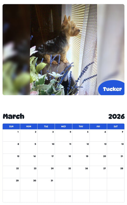 November 2025 - October 2026 Tucker - Pawidols Pet Calendar