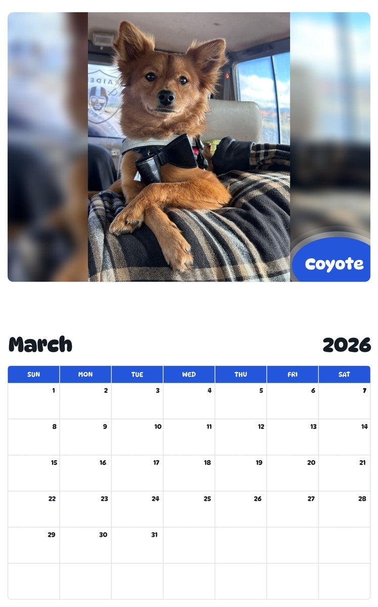 November 2025 - October 2026 Coyote - Pawidols Pet Calendar