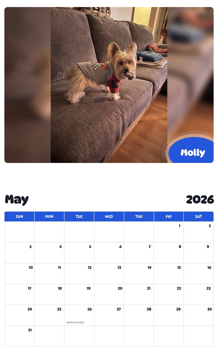 2026 - 2027 Molly - Pawidols Pet Calendar