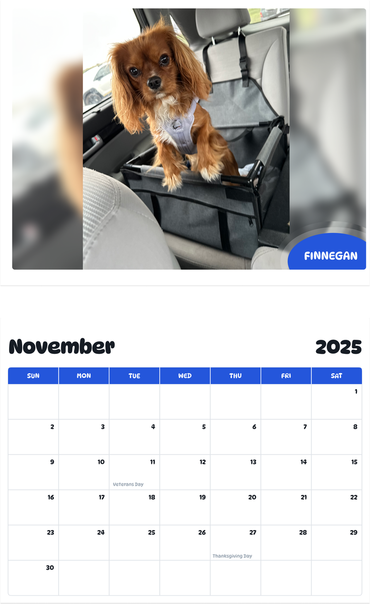 July 2025 - June 2026 Finnegan - Pawidols Pet Calendar