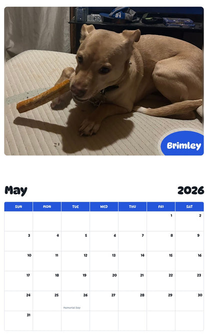 2026 - 2027 Brimley - Pawidols Pet Calendar