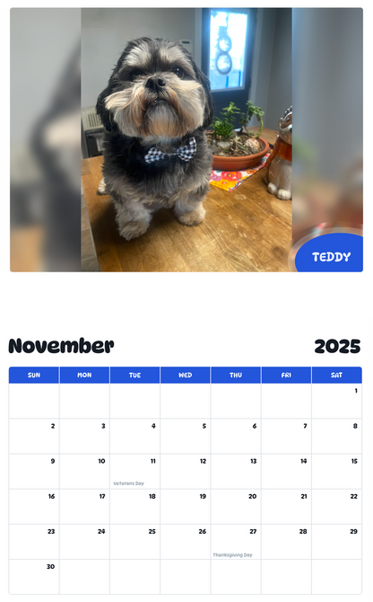 July 2025 - June 2026 Teddy - Pawidols Pet Calendar
