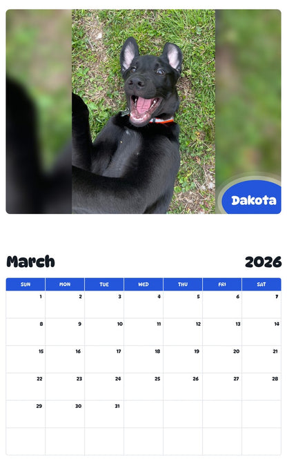 November 2025 - October 2026 Dakota - Pawidols Pet Calendar