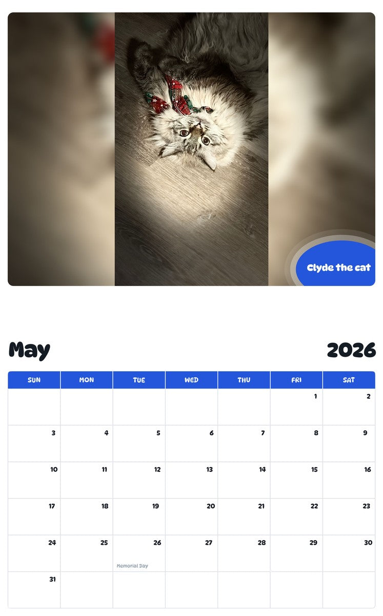 2026 - 2027 Clyde the cat - Pawidols Pet Calendar